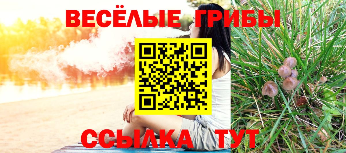 Псилоцибиновые грибы прущие грибы Красноярск